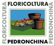 Floricoltura Pedronchina